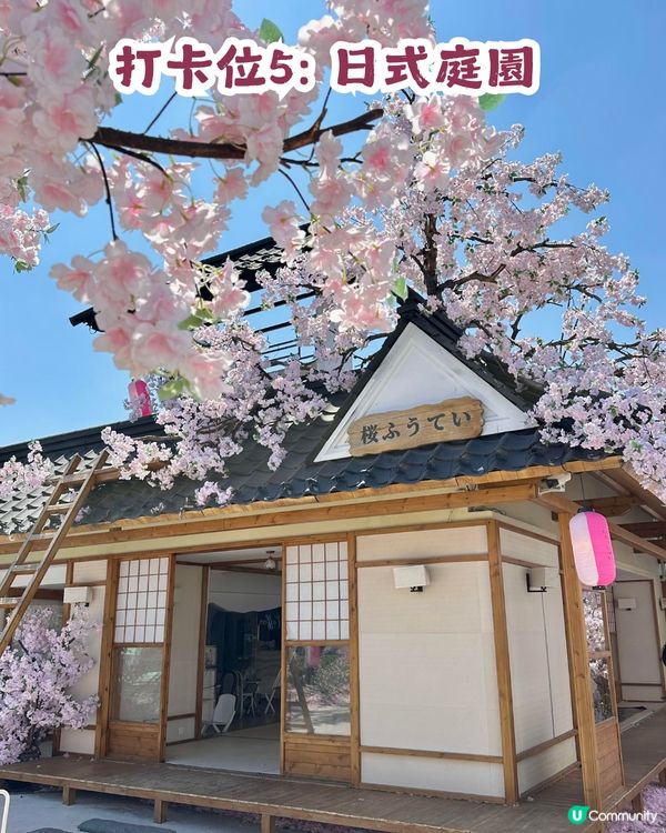 深圳網紅Cafe變身花海版「鎌倉」🌸附6大打卡位