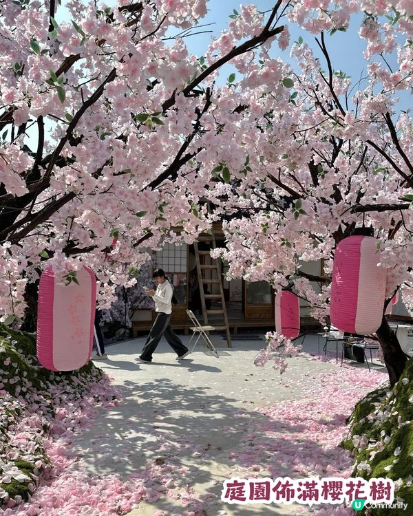 深圳網紅Cafe變身花海版「鎌倉」🌸附6大打卡位