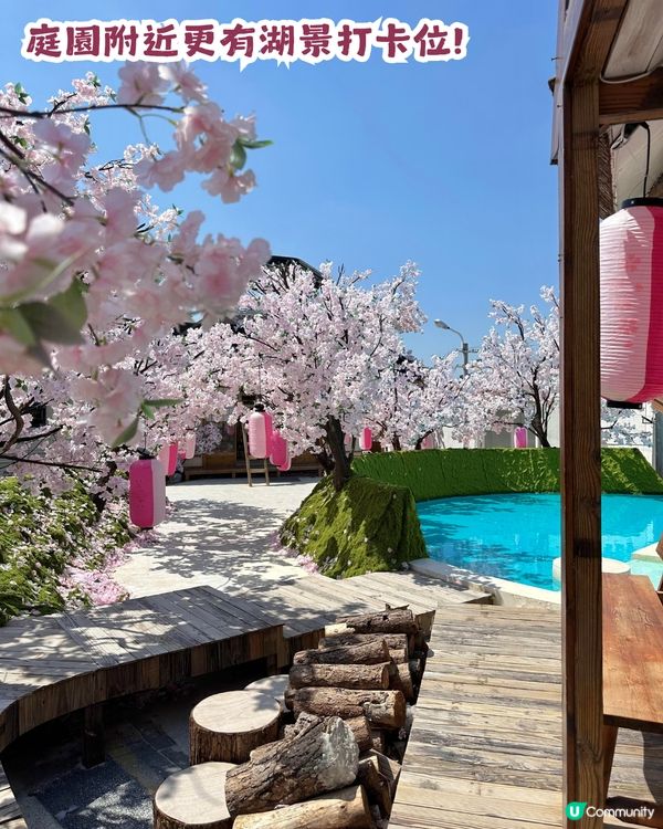 深圳網紅Cafe變身花海版「鎌倉」🌸附6大打卡位