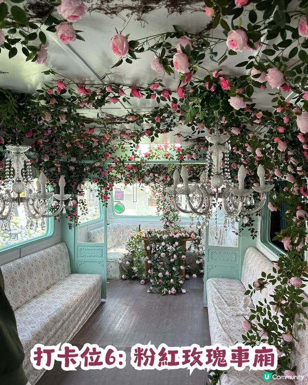 深圳網紅Cafe變身花海版「鎌倉」🌸附6大打卡位