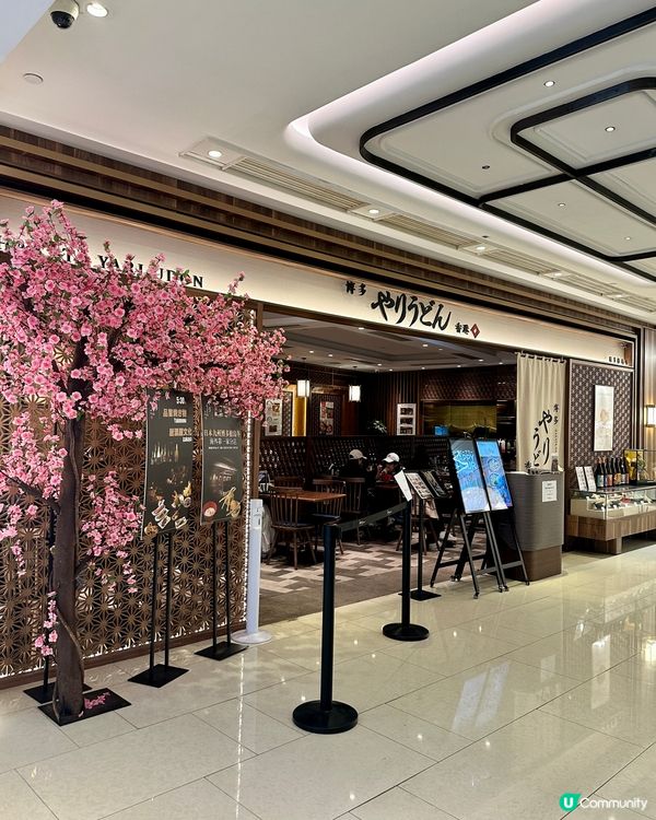 來自福岡博多的恩惠「博多槍烏冬」