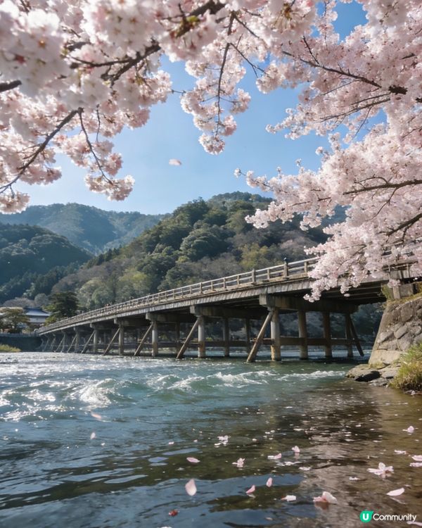 千年古都禪意🌸