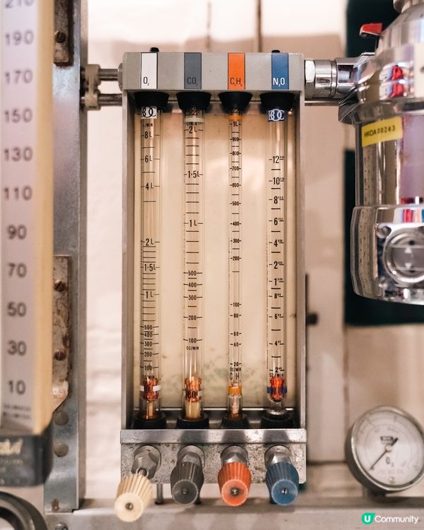 香港醫學博物館 半日遊 打卡位📸