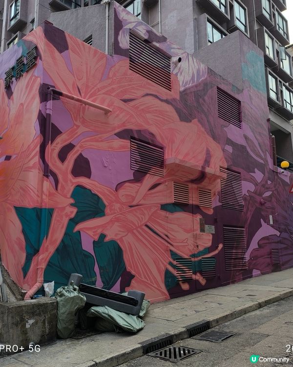 上環西營盤半山處處是壁畫