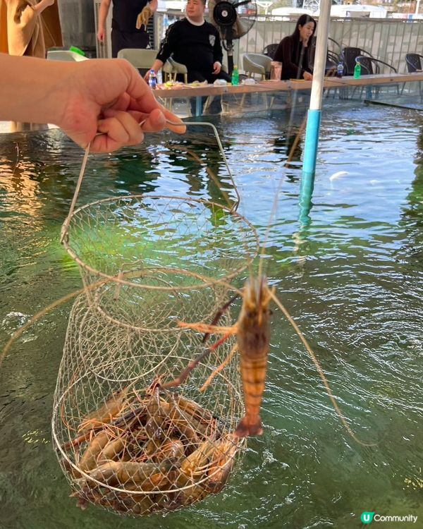 🏎️ 深圳週末新去處