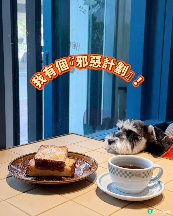 🐶荃灣狗狗友善餐廳🐶🏝️