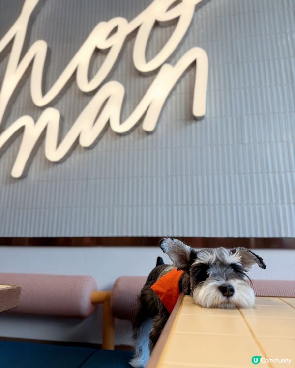 🐶荃灣狗狗友善餐廳🐶🏝️