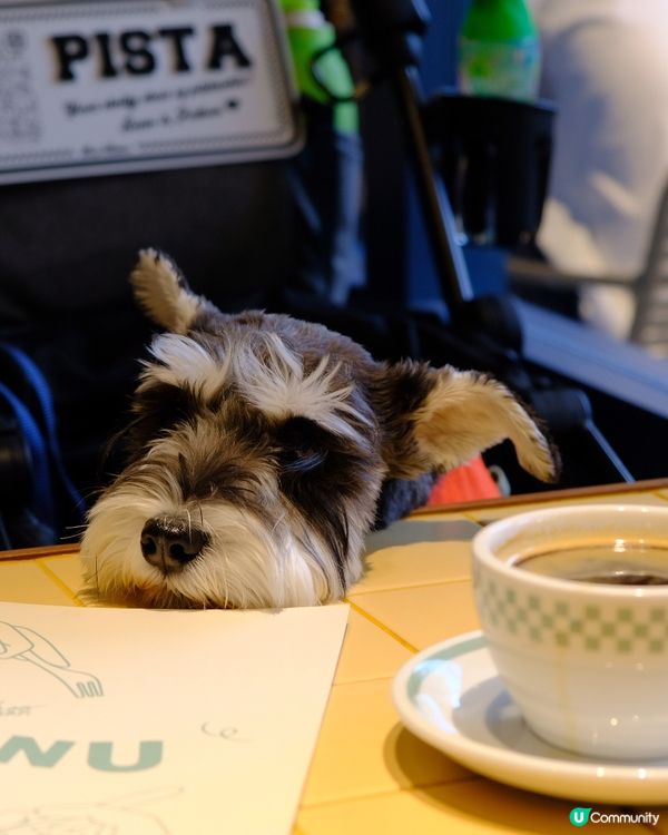 🐶荃灣狗狗友善餐廳🐶🏝️