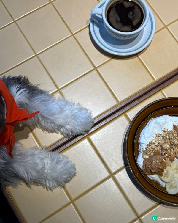 🐶荃灣狗狗友善餐廳🐶🏝️