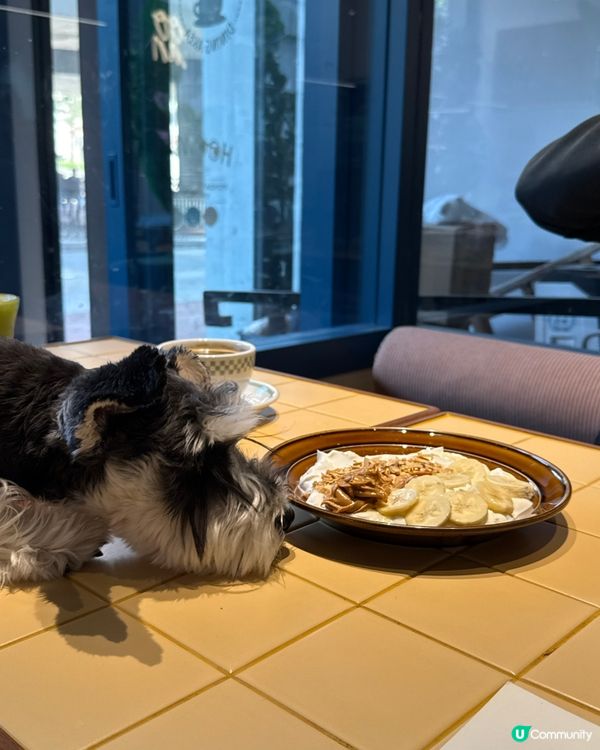 🐶荃灣狗狗友善餐廳🐶🏝️