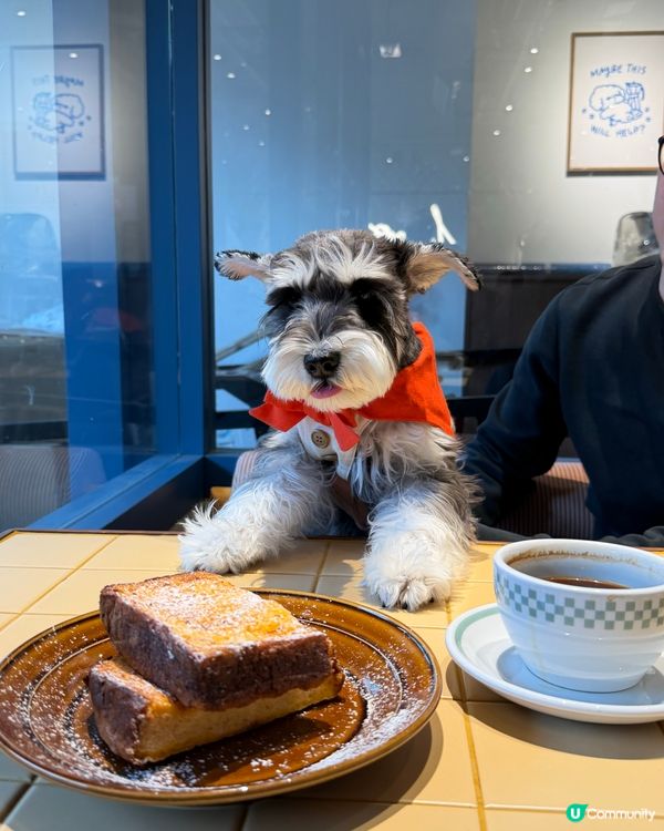 🐶荃灣狗狗友善餐廳🐶🏝️