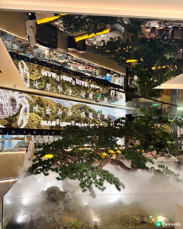 今日帶大家來福田CBD平安中心食高端江南菜