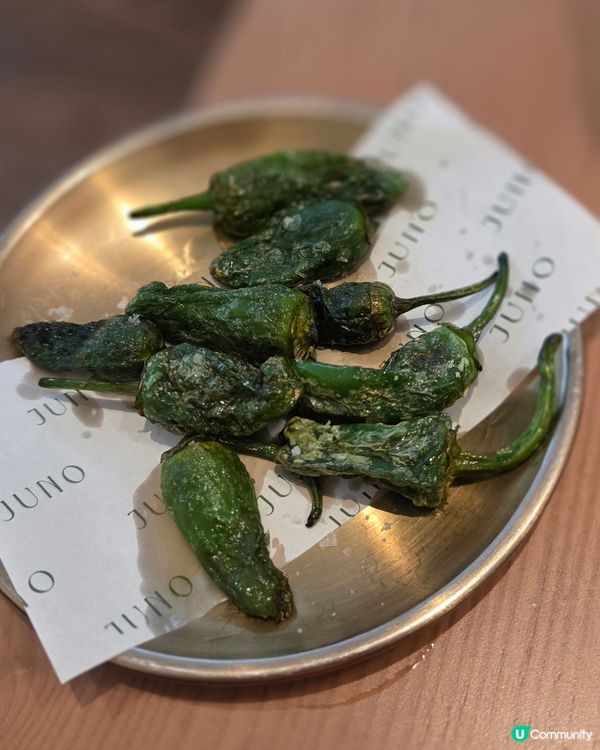 高質意大利菜🍴