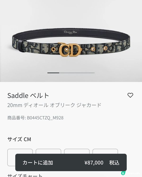 教你低價入手Dior 皮帶！平香港專門店$1300 😱