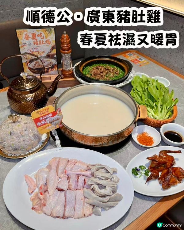 踏入春夏天氣潮濕~即來順德公食返碗豬肚雞⭐️祛濕養生