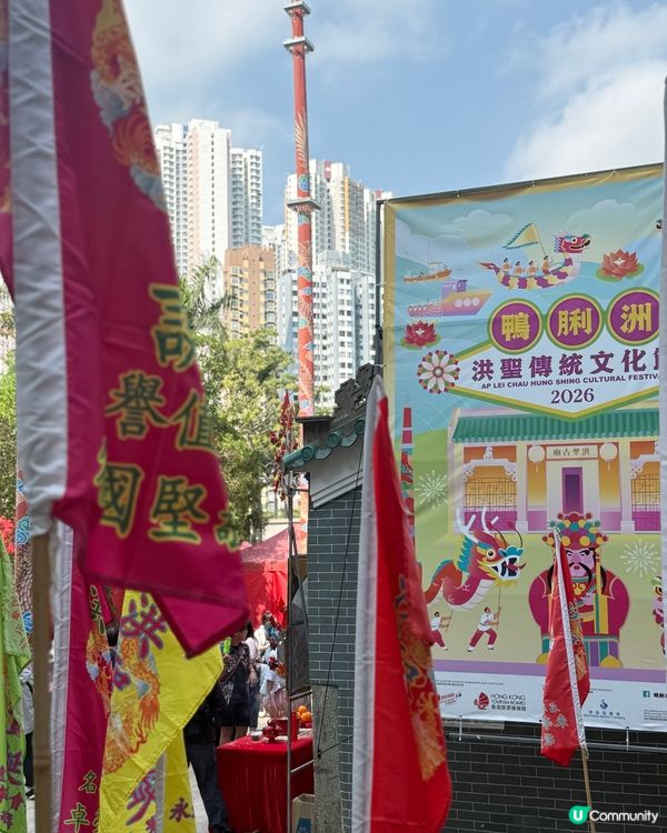 百年傳統文化傳承❤️鴨脷洲洪聖節🥳