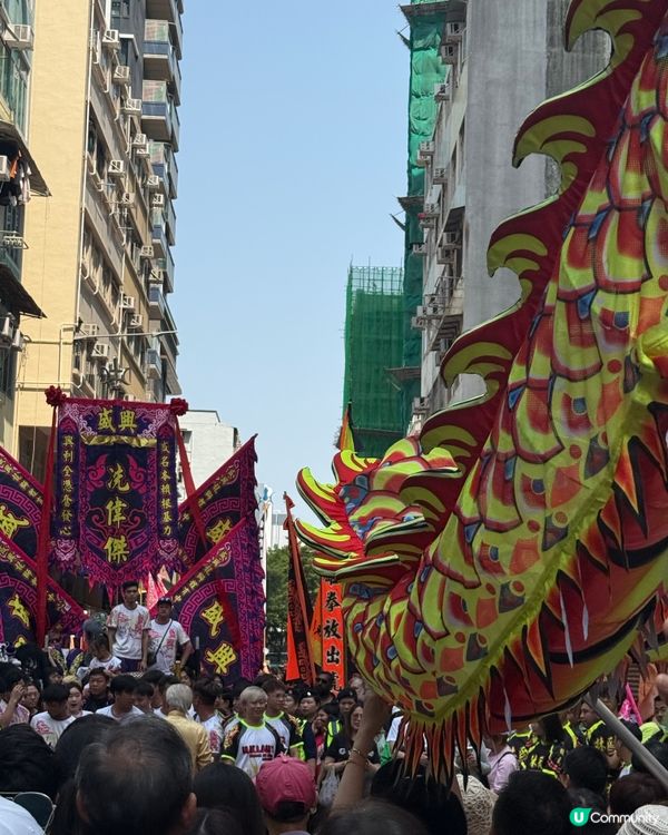 百年傳統文化傳承❤️鴨脷洲洪聖節🥳