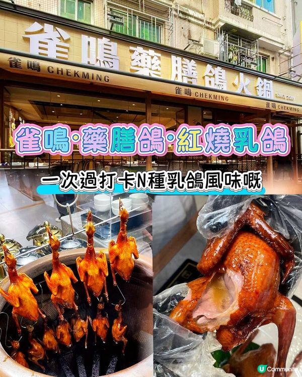 一次試晒！雀鳴乳鴿💯😋