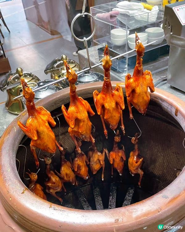 一次試晒！雀鳴乳鴿💯😋