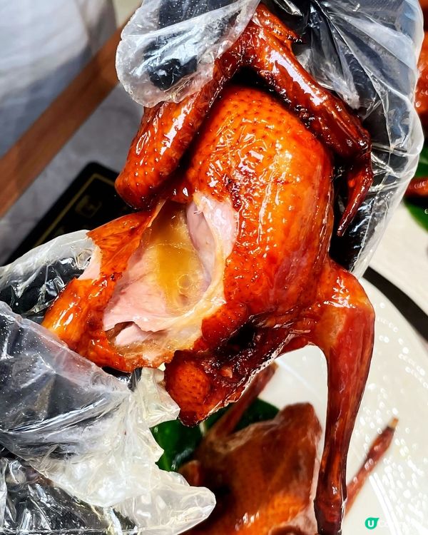 一次試晒！雀鳴乳鴿💯😋