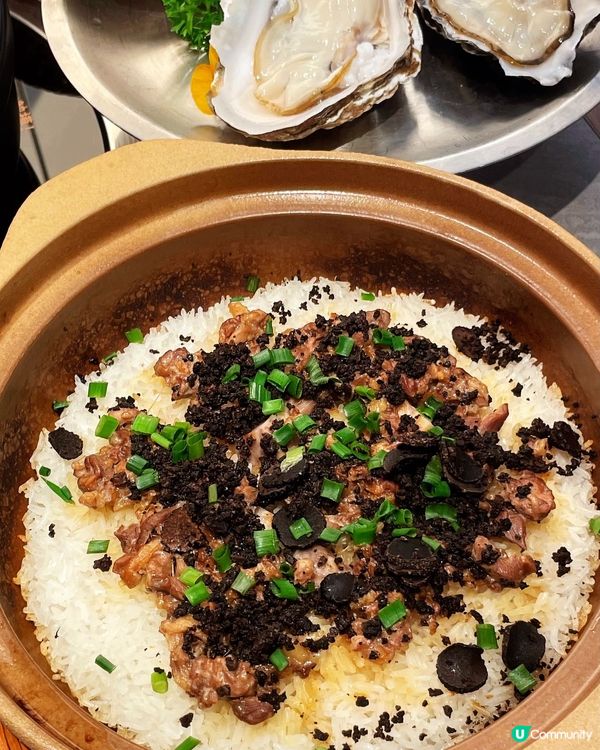 一次試晒！雀鳴乳鴿💯😋