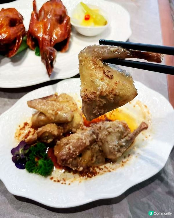 一次試晒！雀鳴乳鴿💯😋