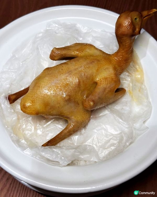 一次試晒！雀鳴乳鴿💯😋