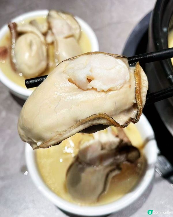 一次試晒！雀鳴乳鴿💯😋