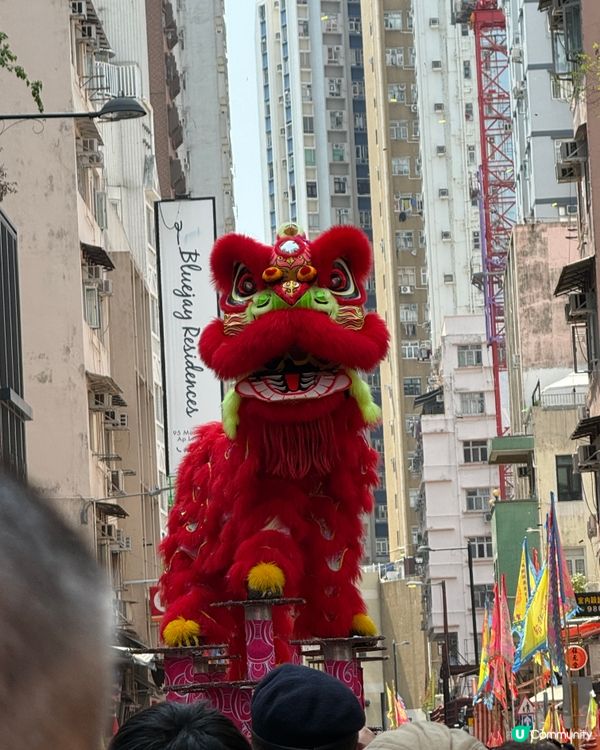 洪聖誕圍村遊 🐲🏮 齊齊玩轉南區！