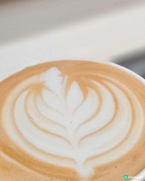 【咖啡】拉花分享☕️ 6層鬱金香