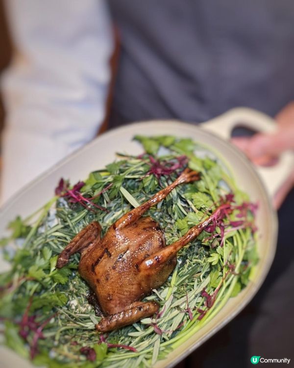 《環迴深圳》X 有水準的意大利餐廳 @ 璞意 ( 深圳福田 )