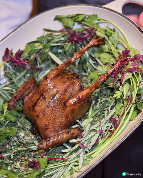 《環迴深圳》X 有水準的意大利餐廳 @ 璞意 ( 深圳福田 )