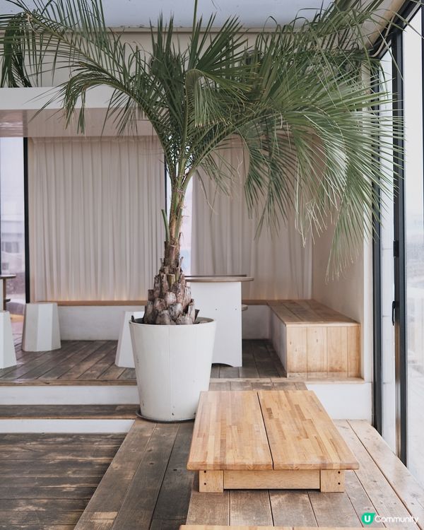 JEJU 牛島的花生拿鐵｜Blanc Rocher🥜☕️