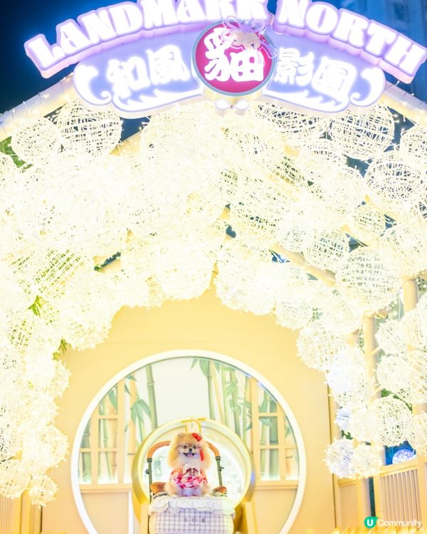 貓貓祭典超好玩！😍 📍上水廣場