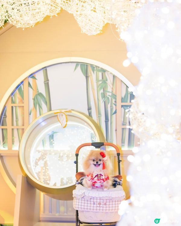 貓貓祭典超好玩！😍 📍上水廣場