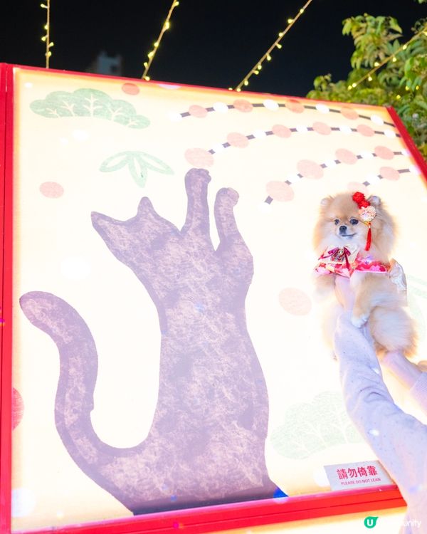 貓貓祭典超好玩！😍 📍上水廣場