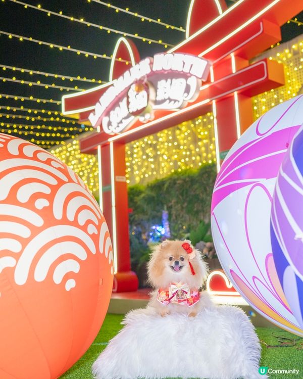 貓貓祭典超好玩！😍 📍上水廣場