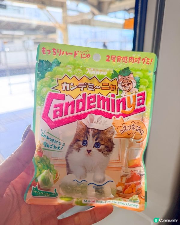 零食分享｜可愛到超治癒的貓咪軟糖