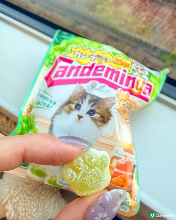 零食分享｜可愛到超治癒的貓咪軟糖