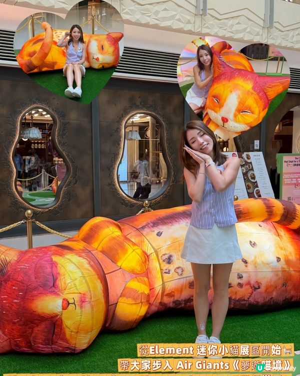 貓貓迷注意！圓方西九夢遊喵境🐾