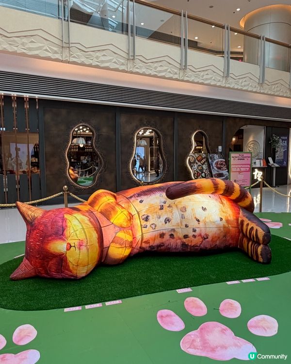 貓貓迷注意！圓方西九夢遊喵境🐾