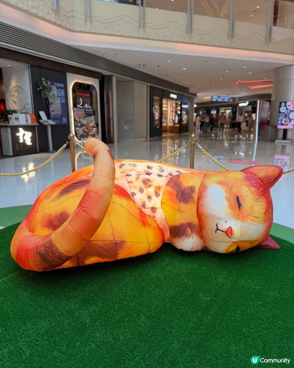 貓貓迷注意！圓方西九夢遊喵境🐾