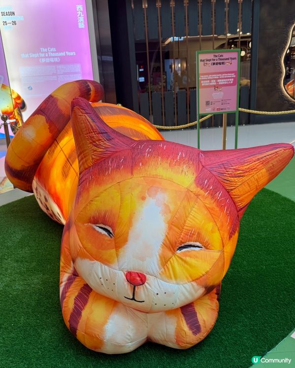 貓貓迷注意！圓方西九夢遊喵境🐾