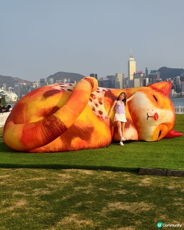 貓貓迷注意！圓方西九夢遊喵境🐾