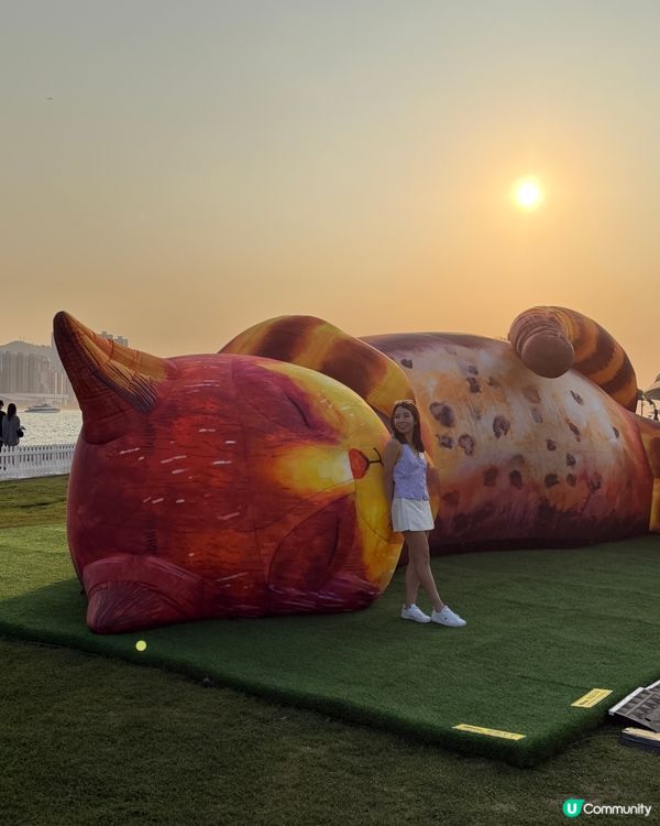 貓貓迷注意！圓方西九夢遊喵境🐾