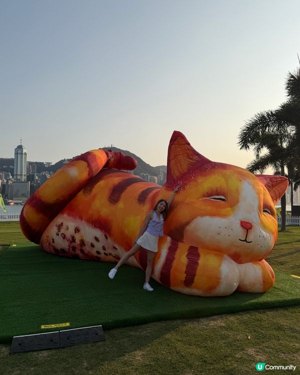 貓貓迷注意！圓方西九夢遊喵境🐾