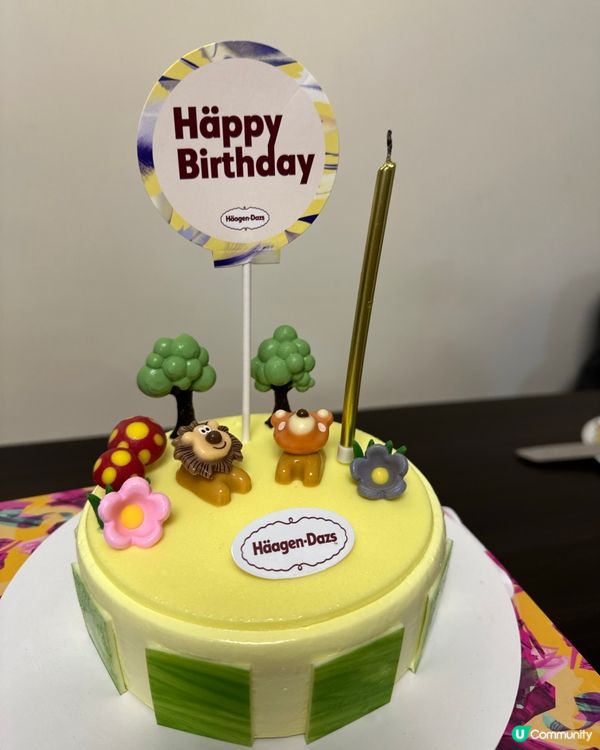 哈根達斯雪糕蛋糕～森林派對