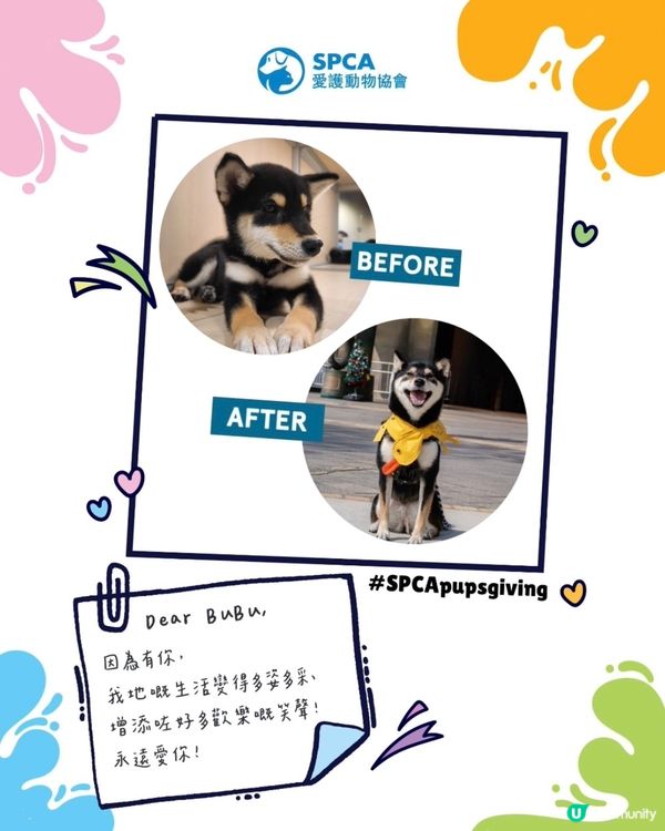SPCA毛孩感恩大派對🥳