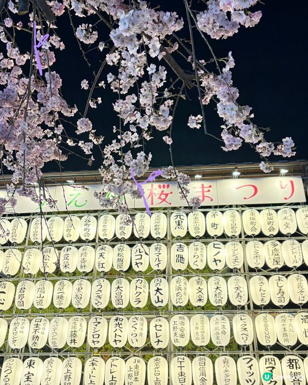 上野支垂櫻之日與夜