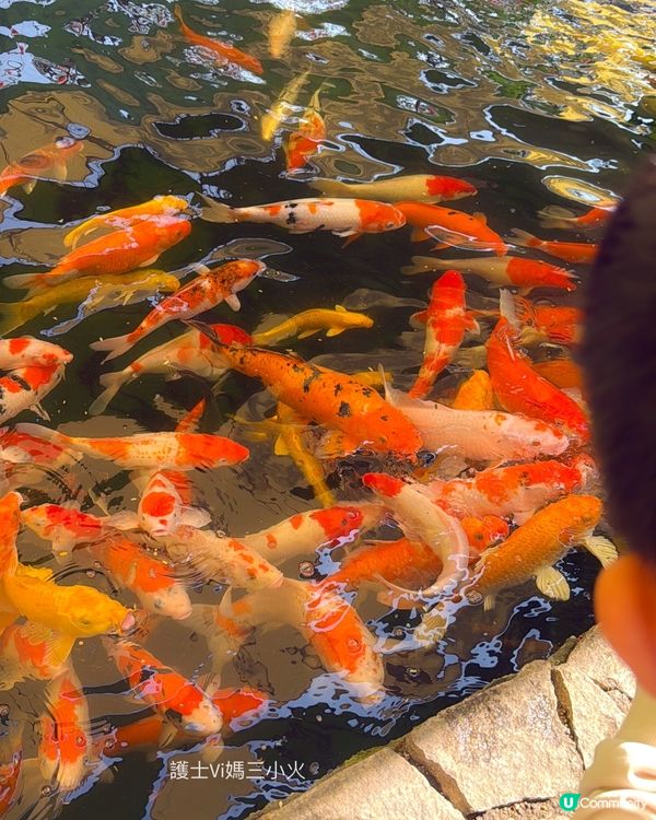 免費入場古色古香＋親子活動｜甘坑古鎮新年遊玩攻略